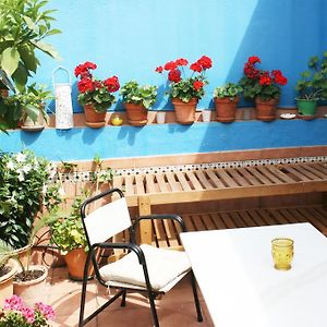 Penthouse Appartement